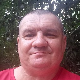 �����, ��������, 45 ���