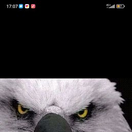 ����, �������, 28 ���