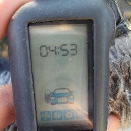 ���� �����, ������, 42 ���� - ��������� 2 ����� 2023