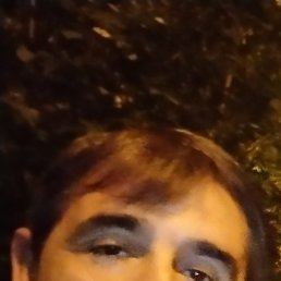 ����, ������, 46 ���