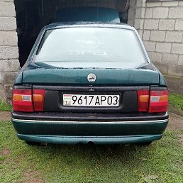 ������, ������, 38 ���