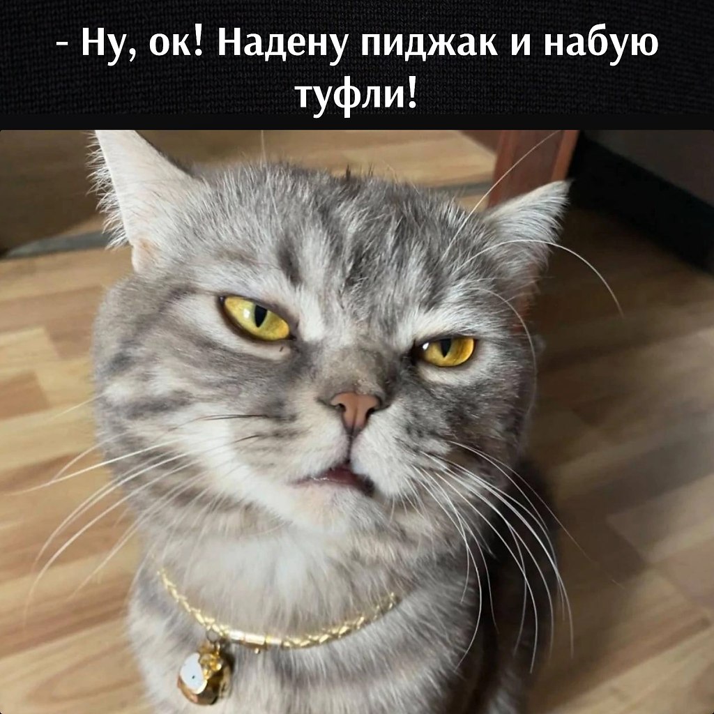       - 29  2023  12:35 - 4