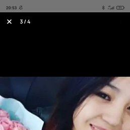 �����, �����-���������, 23 ����