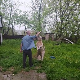 Andrei, �������, 45 ���