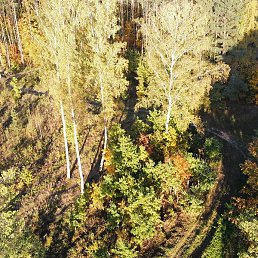 Candy, ������, 38 ���