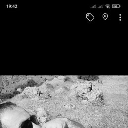 ������, �����, 40 ���