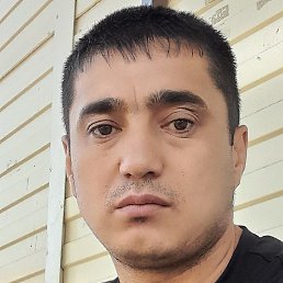 �����, ������, 36 ���