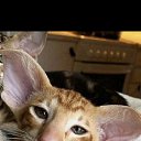 ���� ������, �����-���������, 53 ���� - ��������� 29 �������� 2023