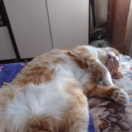 ���� �������, ������, 44 ���� - ��������� 11 ��� 2023