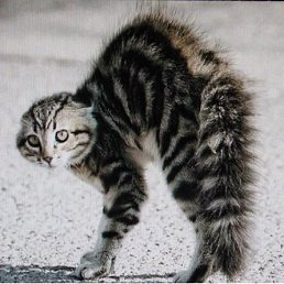 ���� ����, ���������, 74 ���� - ��������� 5 ��� 2023