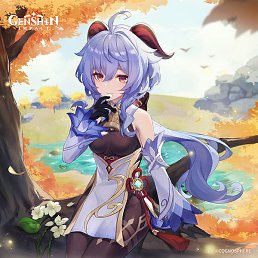 ����, ���������, 24 ����