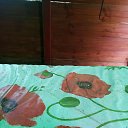 ���� �����, ������, 46 ��� - ��������� 9 ���� 2023 � ������ ���� ����������