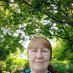 ���� �������, ��������, 70 ��� - ��������� 1 �������� 2023