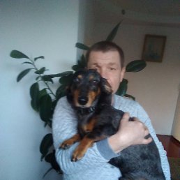 ���� ��������, ��������, 51 ��� - ��������� 26 ����� 2023