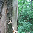 ���� �����, ������, 67 ��� - ��������� 5 ���� 2023 � ������ ���������, ����� ������.�