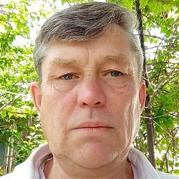 ������, �����������, 56 ���