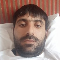 �����, ��������, 37 ���