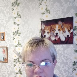 , , 43 