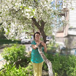 �������, ������, 58 ���