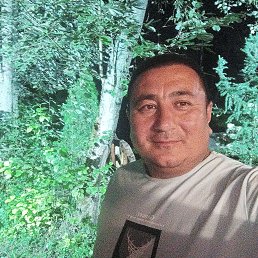 ���� ����, �������, 40 ��� - ��������� 12 �������� 2023