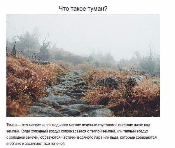 Ответы на детские вопросы, от которых «взрывается» мозг. - 9