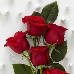 ���� ����, ������������, 39 ��� - ��������� 2 ���� 2023