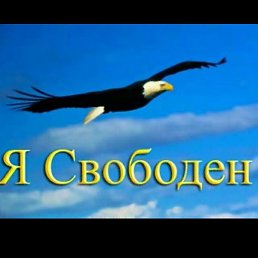 ����, ����������, 36 ���