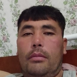 ���, �������, 40 ���