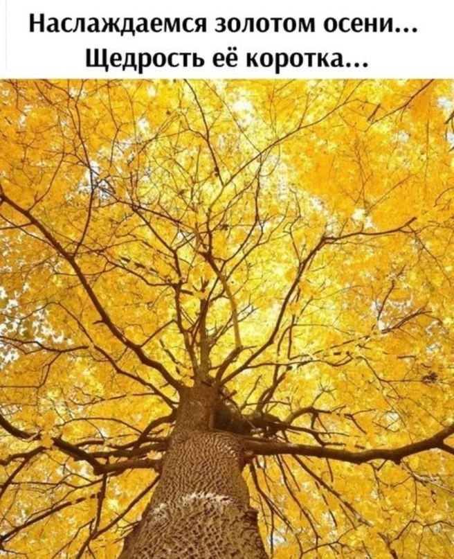   - 3  2023  07:54