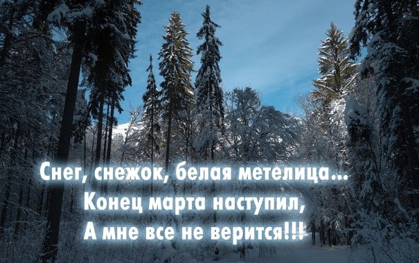 Разыгралась метель, А ведь скоро апрель… Растерялся скворец: «Я теперь не певец», Аист бросил гнездо ...