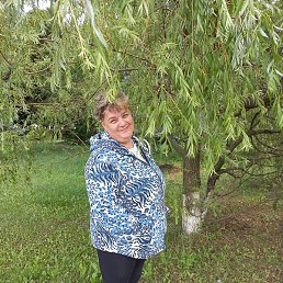 �����, ������, 51 ���