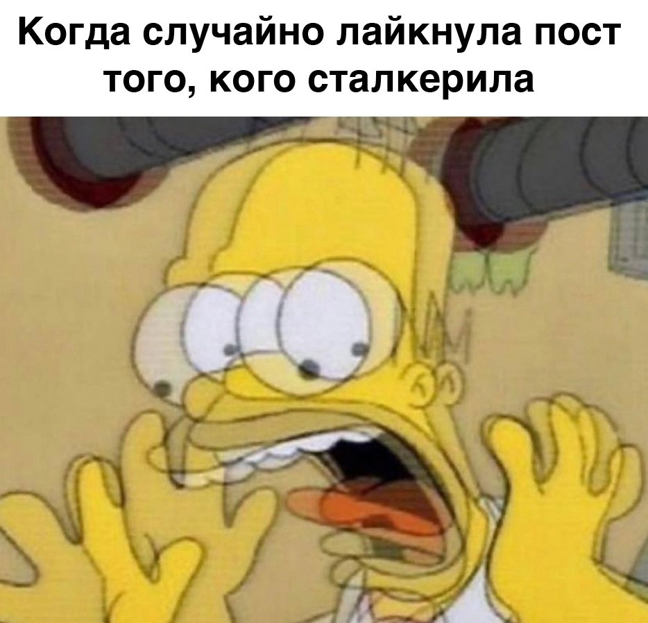    - 19  2023  02:18