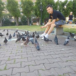 , , 29 