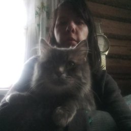 �����, ������, 35 ���