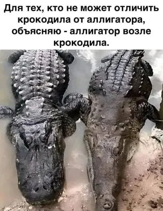 ***Victoria Viktorovna*** - 13  2023  01:13