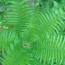 ���� Michail, ������, 42 ���� - ��������� 7 ������� 2023 � ������ ���� ����������