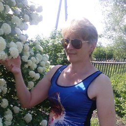 ���� �������, ������, 42 ���� - ��������� 25 �������� 2023