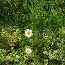 ���� ���������, ���������, 53 ���� - ��������� 18 ������ 2023