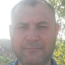 ����������, �����, 46 ���