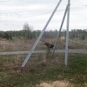 ���� ������, �������, 54 ���� - ��������� 15 ���� 2023