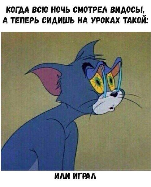 ? ,  ! - 8  2023  08:32