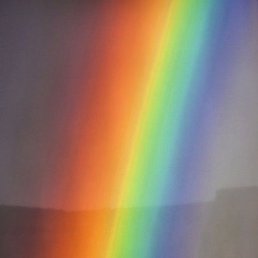 �����, ���������, 49 ���