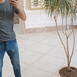 , , 22 