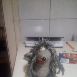 �������, �����������, 56 ���