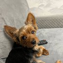 ���� ��������, ��������, 53 ���� - ��������� 3 �������� 2023 � ������ ���� ����������