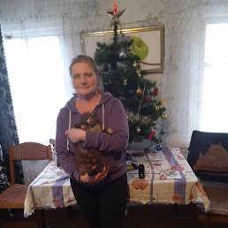 ���� �����, ������, 54 ���� - ��������� 13 ������ 2023