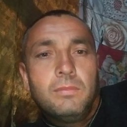 ������, �����, 43 ����