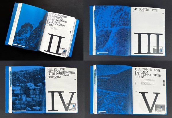 Оформление исторической книги «Илион. Город и страна троянцев».Книга буквально погружает читателя в ... - 2