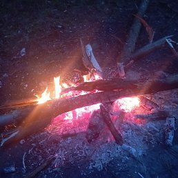 ��������, �����, 28 ���