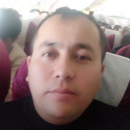 ����, �������, 36 ���